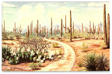 Desert lure cactus for sale  Niles