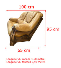 Canapé cuir places d'occasion  Digoin