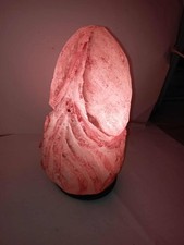 Lampe sel himalaya d'occasion  Cherbourg-Octeville-