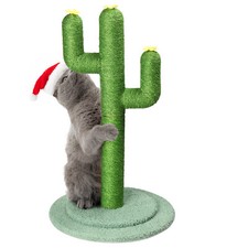 26in cactus cat for sale  Flanders