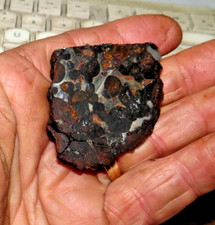 Large sericho pallasite for sale  Malone