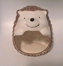Hedgehog happy little for sale  Murfreesboro