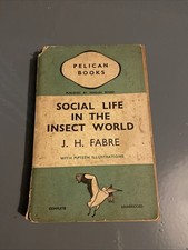 Social life insect for sale  HOLMFIRTH
