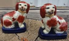 dogs staffordshire type for sale  Cody