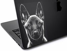 Belgian malinois puppy d'occasion  Expédié en Belgium