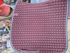 Eskadron blackberry dressur gebraucht kaufen  Niederkirchen