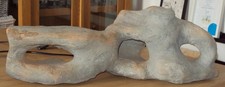 Basking rock 1 for sale  DUNFERMLINE