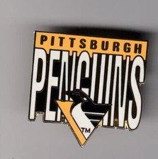 Eishockey pin trikot gebraucht kaufen  Deutschland