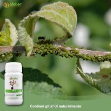 Glober afid liquido usato  Cornaredo