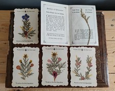 Vintage card flowers for sale  CLEVEDON