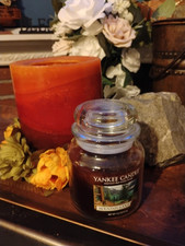 Vela Yankee Candle MOUNTAIN LODGE grande 1 pavio frasco clássico 14,5 oz comprar usado  Enviando para Brazil