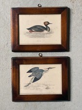 Gravures ancienne encadrées d'occasion  Beaupréau