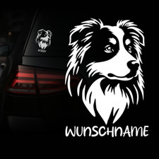 Australian shepherd auto gebraucht kaufen  Köln