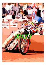 Gary havelock speedway for sale  STOCKTON-ON-TEES