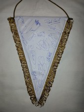 Gagliardetto pennant torino usato  Torino