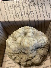 Box kentucky geodes for sale  Burkesville