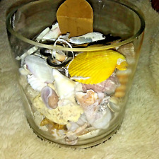jar shells sea large for sale jar shells sea large for sale Chicago