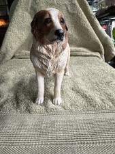 Pyrenean mountain dog for sale  NOTTINGHAM