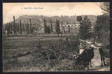 Old postcard belvès d'occasion  Expédié en Belgium