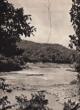 1940 original borneo for sale  Tampa
