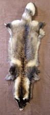 Marderhundfell enok tanuki gebraucht kaufen  Parchim-Umland I