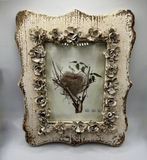 Beautiful ornate dogwood for sale  Gilbert