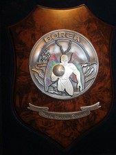 Vecchio crest metallo usato  Salerno