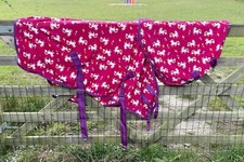 Foal pony fleece for sale  LOUTH