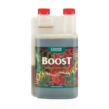 Canna boost accelerator usato  Roma