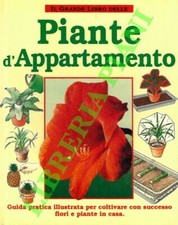 Jantra helmut grande usato  Italia
