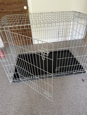 Extra large dog for sale  GODALMING