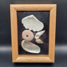 Sea shell shadow for sale  Belton