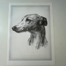 Whippet joanna lesław d'occasion  Expédié en Belgium