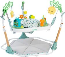Ingenuity baby spielcenter gebraucht kaufen  Ribnitz-Damgarten