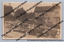 Parade float livestock for sale  USA