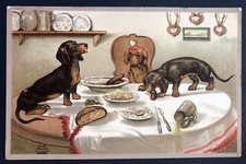 Cheeky dachshunds steal for sale  DUMFRIES
