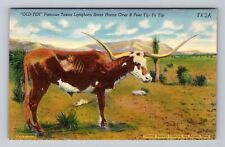 Texas old tex for sale  USA