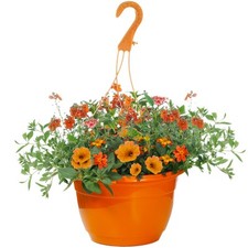 Outdoor orange shades for sale  UK