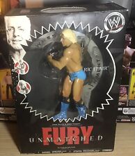 Wwe ric flair for sale  LINCOLN