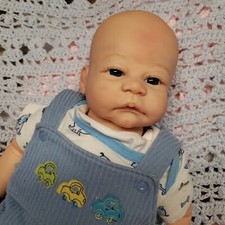 Precious reborn baby for sale  Jay