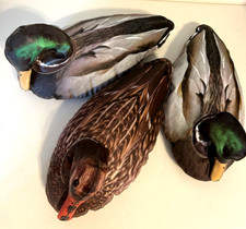 Cherokee sports featherlites for sale  Jackson