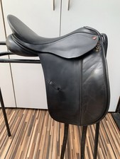Albion adjusts legend for sale  CANTERBURY