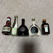 Garrafa vazia álcool mini uísque retrô conjunto com 5 peças comprar usado  Enviando para Brazil