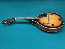Savannah 100 acoustic for sale  Lake Orion