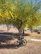 Jamis exile speed for sale  Mesquite