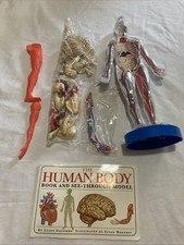 Vintage human body for sale  Roseville
