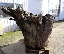 Mooreiche moorholz 4874 gebraucht kaufen  Grasberg