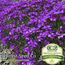 200 purple rock for sale  Upland