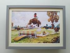 Norman thelwell horse for sale  YORK