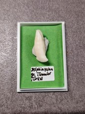 Delfin delphin zahn gebraucht kaufen  Weinböhla